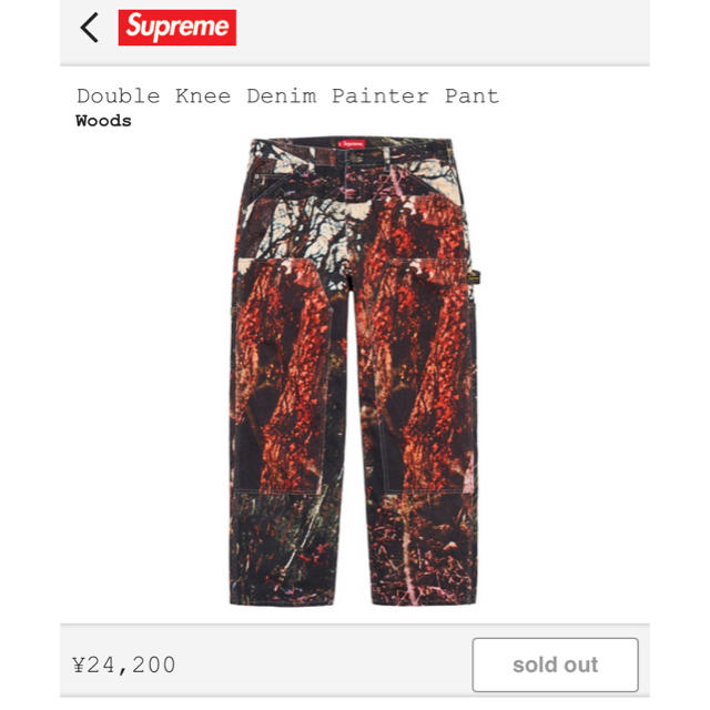 Supreme Double Knee Painter Pant