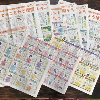 ポケモン(ポケモン)の【探せ！ポケモンダイジェスト】読売新聞紙面(語学/参考書)