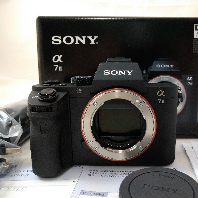 連休期間３％引き 超美品 SONY α6000 動作確認済 撮影枚数 6361枚-