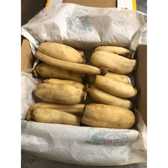 徳島県シャキシャキ蓮根 細1kg 食品/飲料/酒の食品(野菜)の商品写真