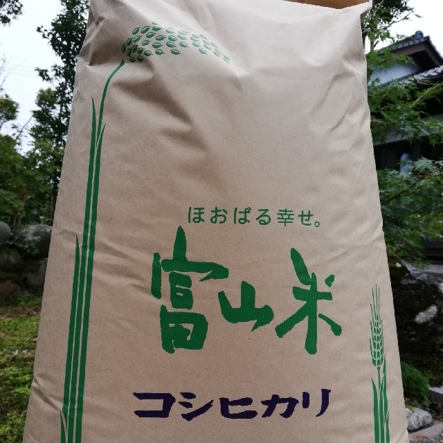 コシヒカリ　令和元年産　富山県立山産　精米20kg（白米20kg）　7200円食品/飲料/酒