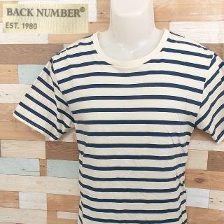 バックナンバー(BACK NUMBER)の【BACK NUMBER】 美品 バックナンバー ボーダー半袖Tシャツ M(Tシャツ/カットソー(半袖/袖なし))