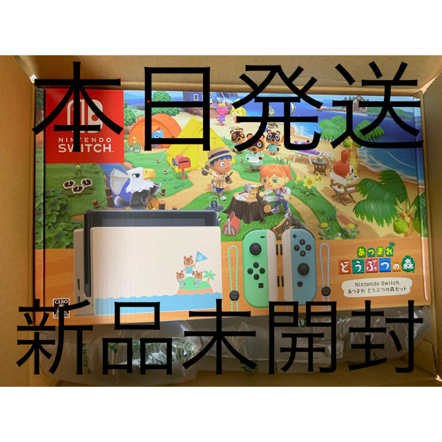 あつまれどうぶつの森セット　新品未開封ゲームソフト/ゲーム機本体