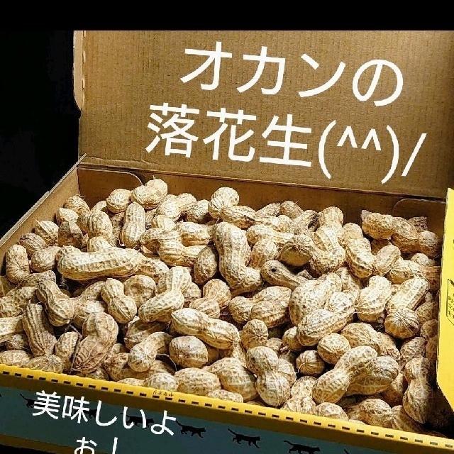 オカンが育てた！生落花生 宅急便コンパクト詰め 約１キロ 食品/飲料/酒の食品(野菜)の商品写真