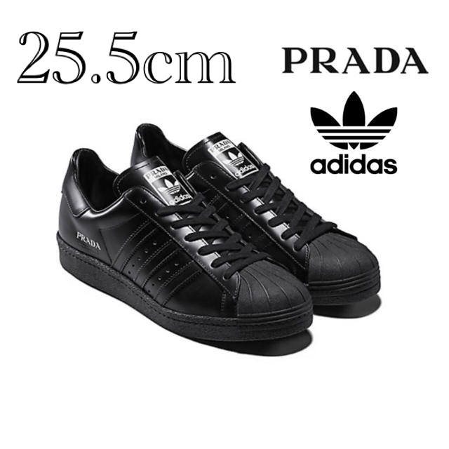 新しい 【新品】adidas - adidas × 限定スニーカー Superstar PRADA スニーカー