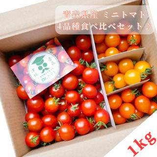 ミニトマト【農学博士のDr.トマト 1Kg】☘️〜青森津軽産〜(野菜)