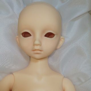 ボークス(VOLKS)のスーパードルフィー　ボークス　SDMノア(人形)