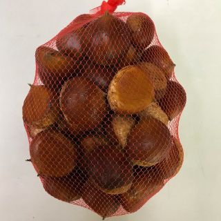 愛知県新城市産の丹波栗　１kg(その他)