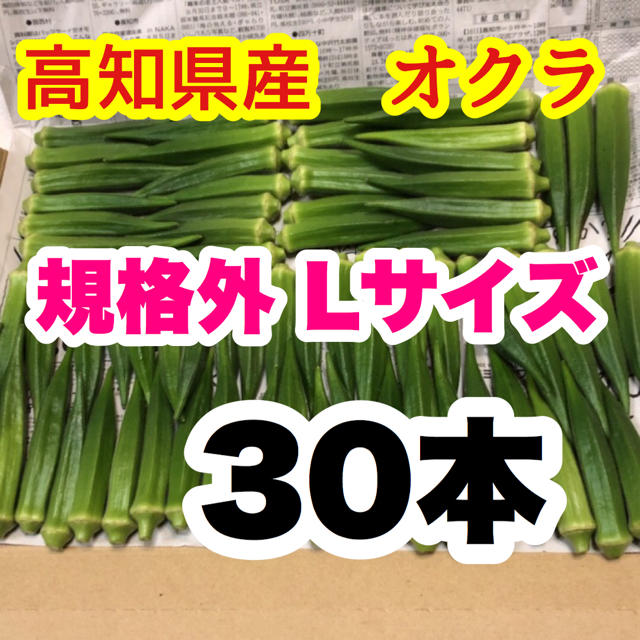 高知県産オクラ　規格外　Lサイズ　30本 食品/飲料/酒の食品(野菜)の商品写真