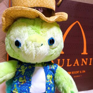 ダッフィー ハワイ ぬいぐるみの通販 87点 ダッフィーのエンタメ ホビーを買うならラクマ