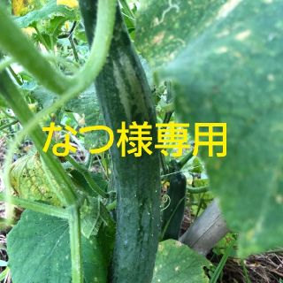 なつ様専用(野菜)