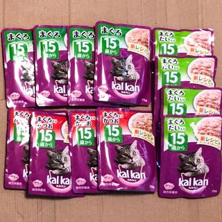 kal kan シニア用ウェットフード まぐろ・かつお など3種各4点合計12袋(ペットフード)