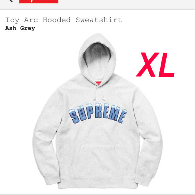 supreme  20 FW Icy Arc Hooded Sweatshirt