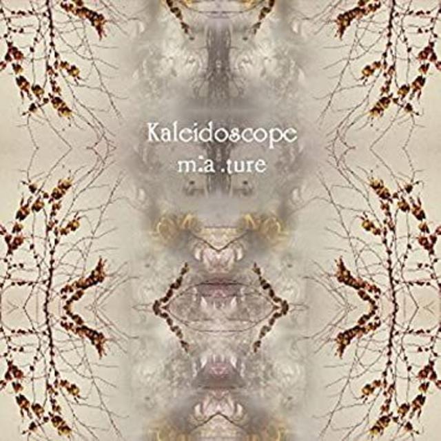 レア　廃盤　新品CD● ｍ：ａ．ｔｕｒｅ／Ｋａｌｅｉｄｏｓｃｏｐｅ　和楽器バンド エンタメ/ホビーのCD(ポップス/ロック(邦楽))の商品写真