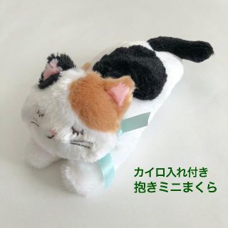 ［専用］グーグーワールド＜GuGuWorld＞カイロ入れ付き抱きミニまくら(枕)