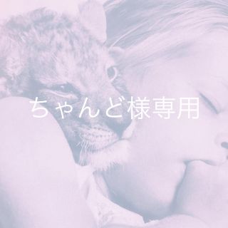 ちゃんど様専用《ご予約》(その他)