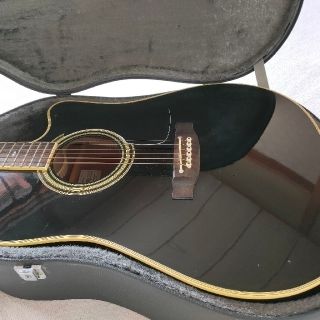アコースティックギター(エレアコ)Takamine PT-209 | www.stamayk.sch.id