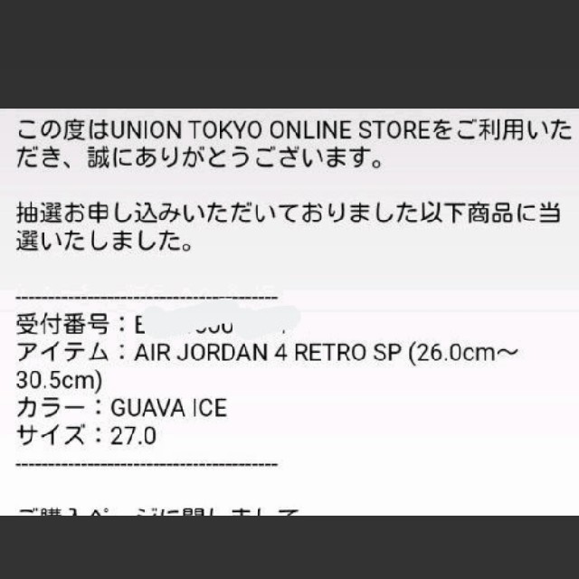 NIKE(ナイキ)の【27cm】AIR JORDAN 4 RETRO SP GUAVA ICE   メンズの靴/シューズ(スニーカー)の商品写真