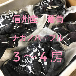 信州産　葡萄　ナガノパープル  3〜4房(フルーツ)