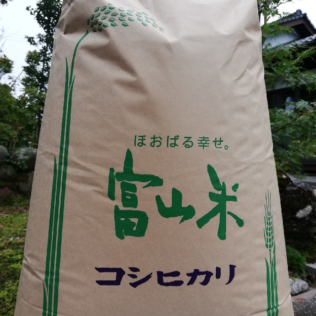 4200円　コシヒカリ　精米10kg　富山県立山産　新米　米/穀物