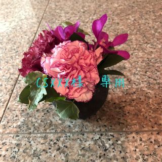 リピーター様(その他)
