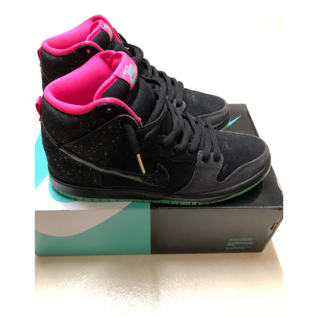 nike dunk hi premium sb northern lights