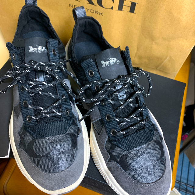 COACH(コーチ)の【COACH】スニーカーCitysole Runner Sneaker箱あり メンズの靴/シューズ(スニーカー)の商品写真