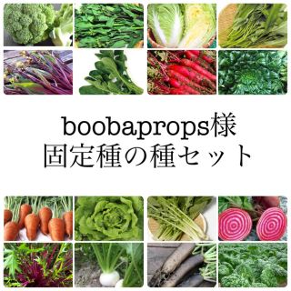 boobaprops 様　★伝統野菜★固定種の種セット(野菜)