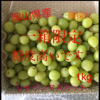 岡山県産　シャインマスカット  家庭用　1kg (フルーツ)