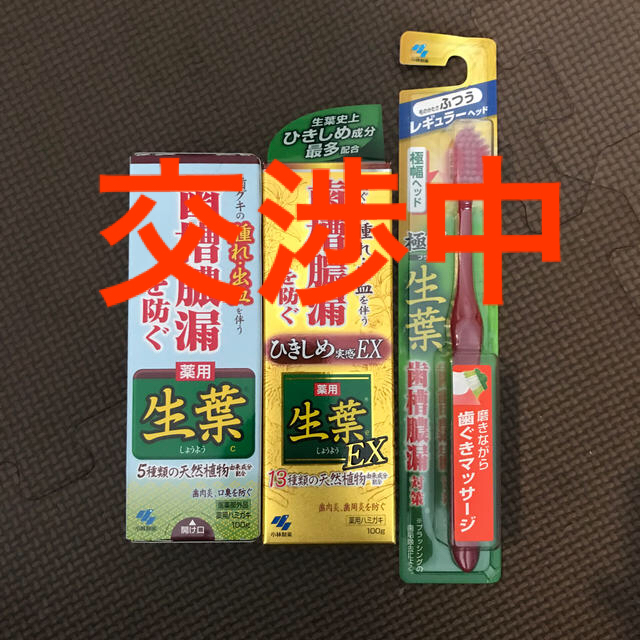 小林製薬(コバヤシセイヤク)の薬用ハミガキ　生葉・歯ブラシ　セット コスメ/美容のオーラルケア(歯磨き粉)の商品写真