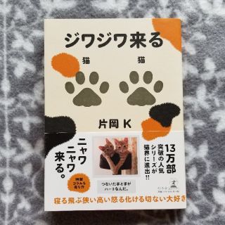 ジワジワ来る猫猫(アート/エンタメ)