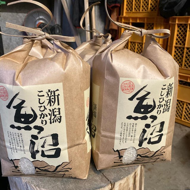 食品/飲料/酒新米令和2年産　魚沼産こしひかり　従来品種　5キロ×2