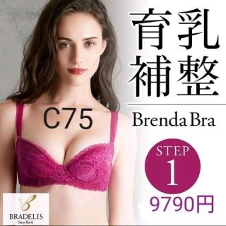 ブラデリスニューヨーク(BRADELIS New York)のブラデリス☆人気の育乳STEP１/C75 ブレンダブラ フューシャピンク(ブラ)