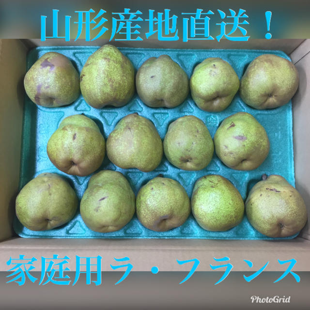 予約コメント専用！11月中旬発送！産直⭐︎家庭用洋梨ラ・フランス⭐︎2Lから5L 食品/飲料/酒の食品(フルーツ)の商品写真