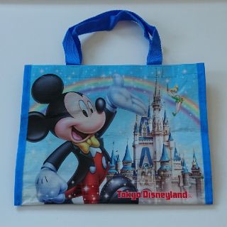 ディズニー ビニールバッグ ショッパーの通販 18点 Disneyのレディースを買うならラクマ