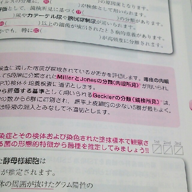 臨床検査技師グリ－ン・ノ－ト 臨床編 ２ｎｄ　ｅｄｉｔ エンタメ/ホビーの本(資格/検定)の商品写真