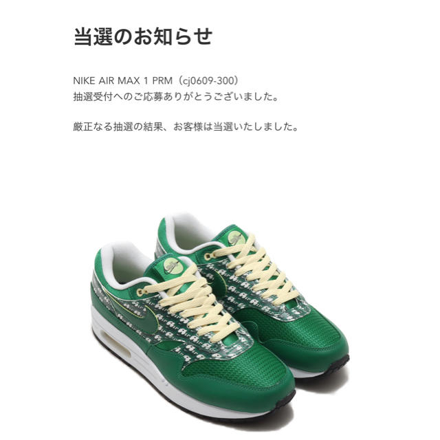 NIKE(ナイキ)のNIKE AIR MAX 1 PRM ーLIMEADEー メンズの靴/シューズ(スニーカー)の商品写真