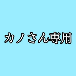 カノさん専用(その他)