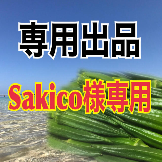 【40本】Sakico様専用 食品/飲料/酒の食品(野菜)の商品写真