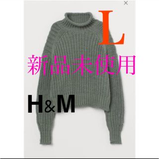 エイチアンドエム(H&M)のH&M  新品未使用　チャンキーニット　グリーン　Ｌ(ニット/セーター)