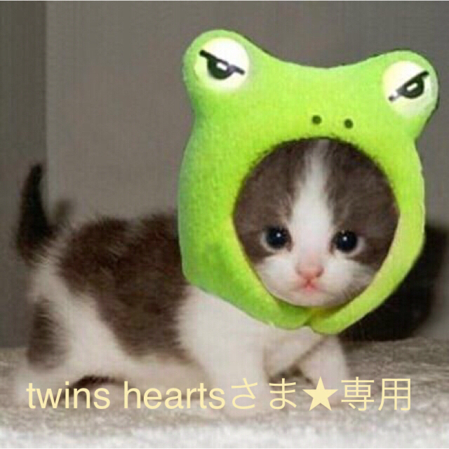 twins heartsさま専用です