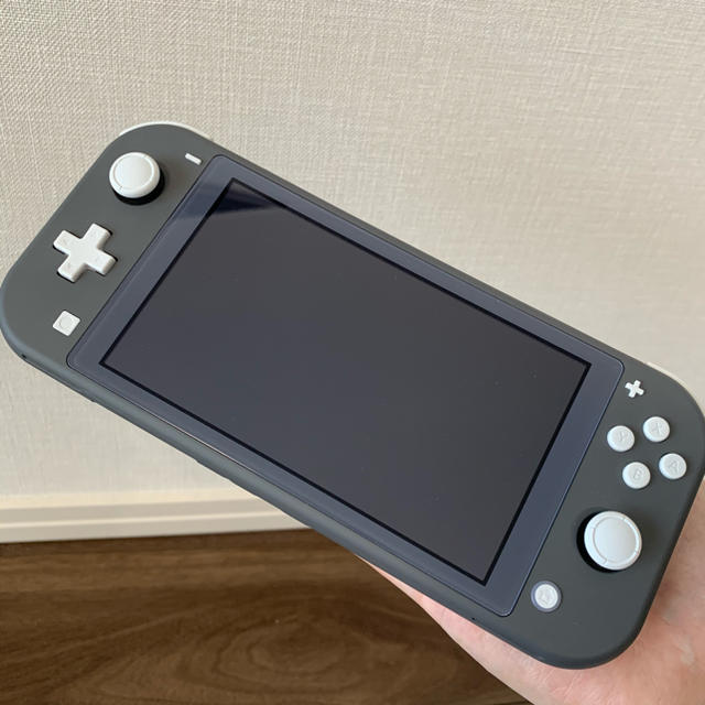 Nintendo Switch light ソード+ハードケース付き