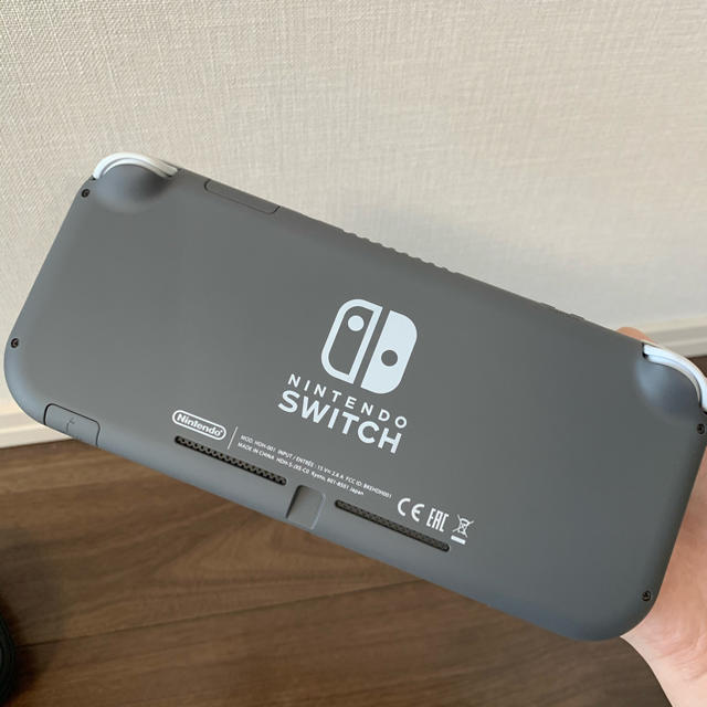 Nintendo Switch light ソード+ハードケース付き