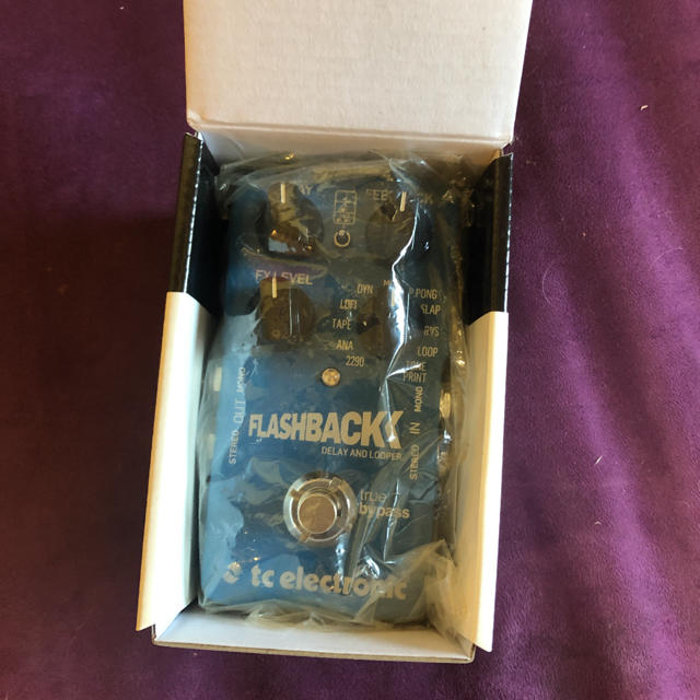 TC ELECTRONIC Flashback Delay & Looper