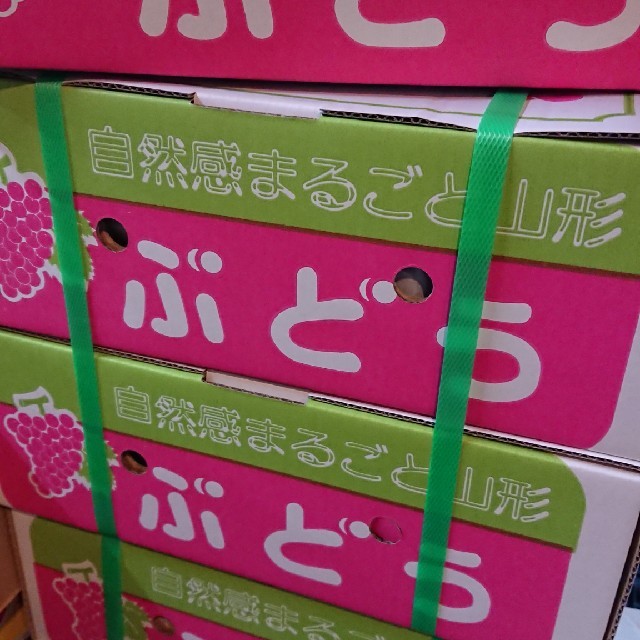 🚚送料無料✨山形県産美味しい初掘り里芋小芋３㎏入り  食品/飲料/酒の食品(野菜)の商品写真