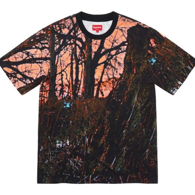 最終価格 Supreme S/S Pocket Tee woods tシャツ