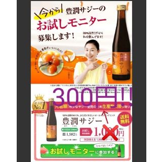 豊潤サジーお試し10日分、鉄分、アミノ酸、ビタミン、サプリ(ビタミン)