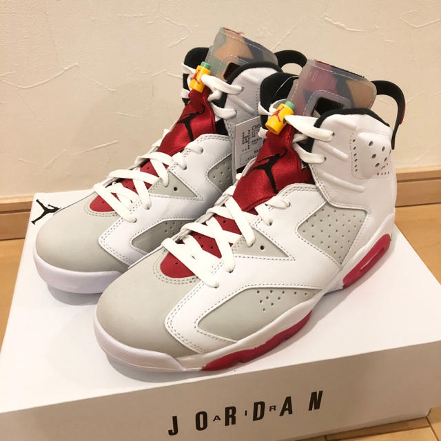 スニーカー27.5 NIKE JORDAN6 HERE ジョーダン6