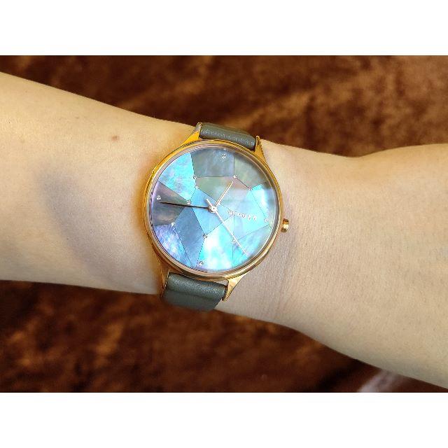 Skagen skw2390 best sale