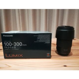 パナソニック(Panasonic)の【オオクワ様専用】Lumix G VARIO 100-300 F4.0-5.6(レンズ(ズーム))